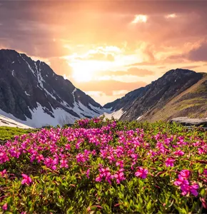 Valley of Flowers Package By Helicopter